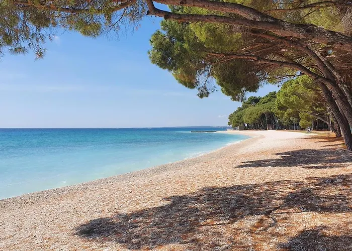 - 2 Bedrooms, 67m2, Terrace *